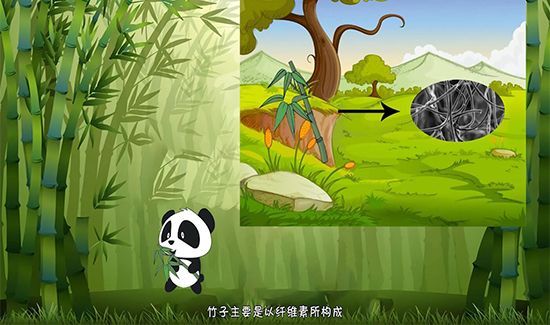 大熊猫为什么被视为中国的国宝