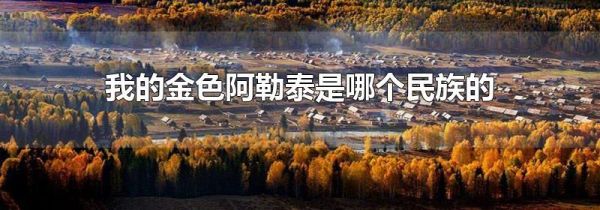 我的金色阿勒泰是哪个民族的