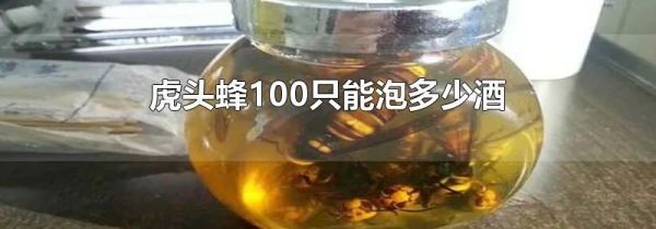 虎头蜂100只能泡多少酒