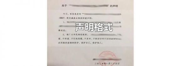 声明格式
