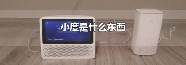 小度是什么东西