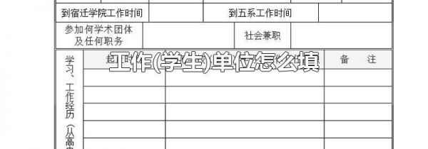 工作(学生)单位怎么填