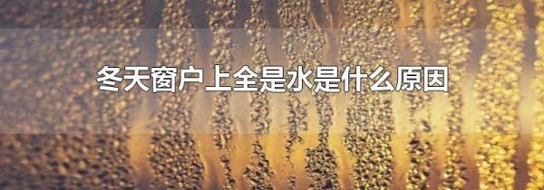 冬天窗户上全是水是什么原因