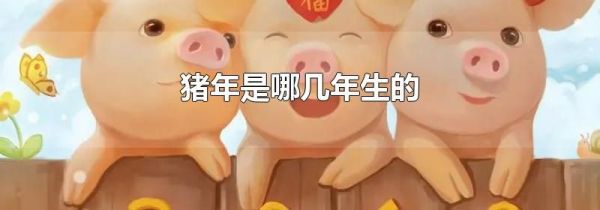 猪年是哪几年生的