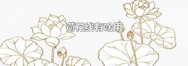 荷花线有啥用