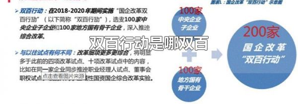 双百行动是哪双百