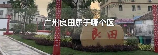 广州良田属于哪个区