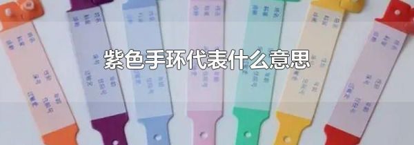 紫色手环代表什么意思