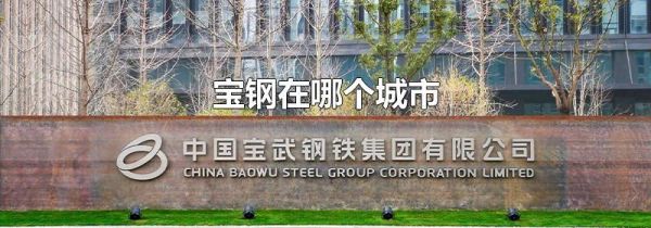 宝钢在哪个城市
