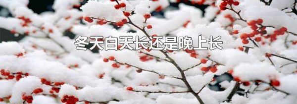 冬天白天长还是晚上长