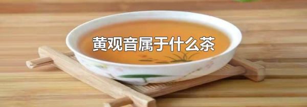 黄观音属于什么茶