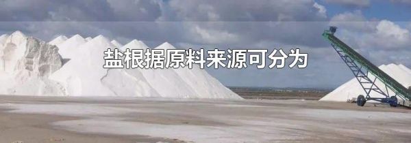 盐根据原料来源可分为