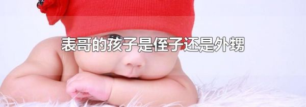 表哥的孩子是侄子还是外甥