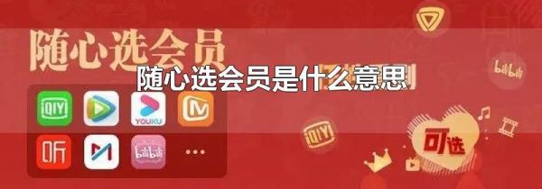 随心选会员是什么意思