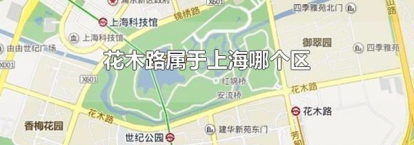 花木路属于上海哪个区