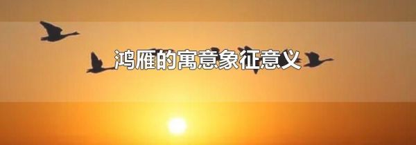 鸿雁的寓意象征意义