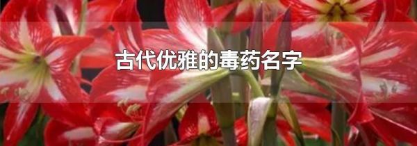 古代优雅的毒药名字