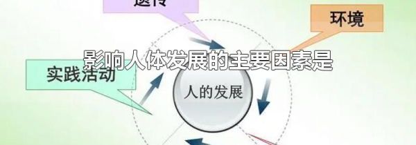 影响人体发展的主要因素是