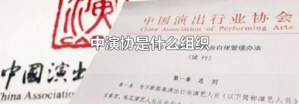 中演协是什么组织