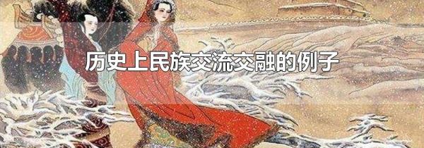 历史上民族交流交融的例子