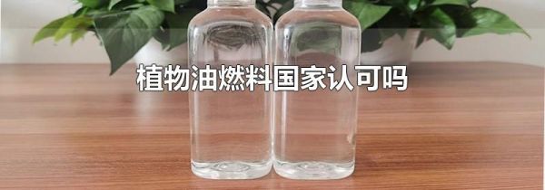 植物油燃料国家认可吗