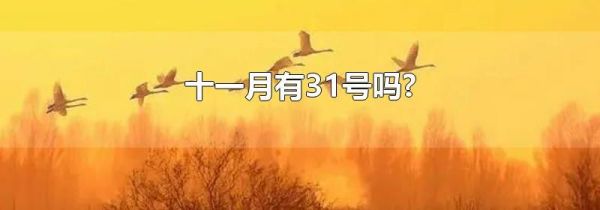 十一月有31号吗?