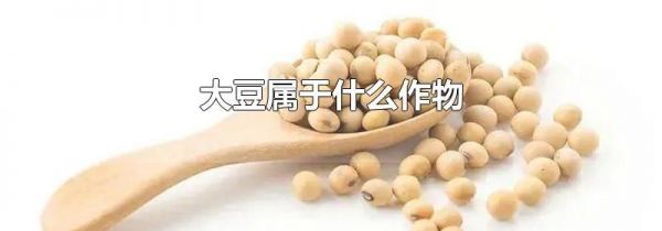 大豆属于什么作物