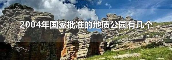 2004年国家批准的地质公园有几个