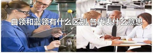 白领和蓝领有什么区别,各代表什么意思