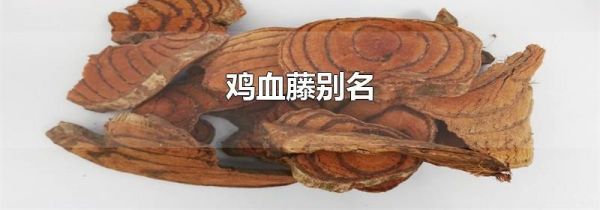 鸡血藤别名