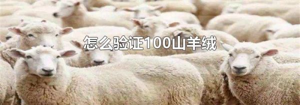 怎么验证100山羊绒