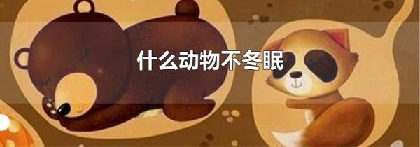 什么动物不冬眠