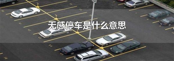 无感停车是什么意思