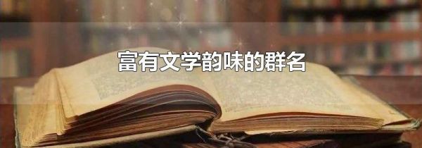 富有文学韵味的群名