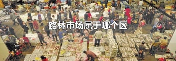 路林市场属于哪个区
