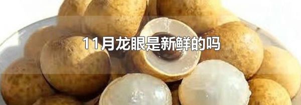 11月龙眼是新鲜的吗