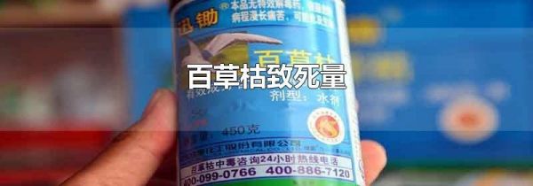 百草枯致死量