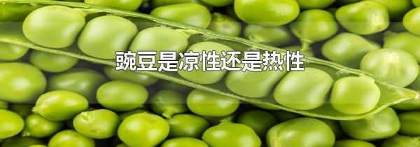 豌豆是凉性还是热性