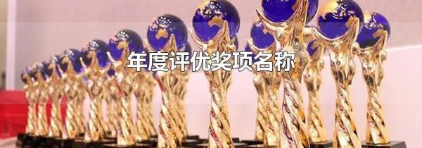 年度评优奖项名称