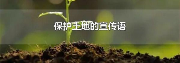 保护土地的宣传语
