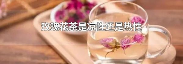 玫瑰花茶是凉性还是热性