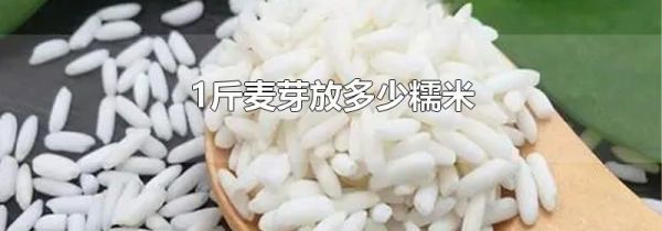 1斤麦芽放多少糯米