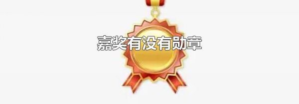 嘉奖有没有勋章