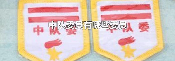 中队委员有哪些委员