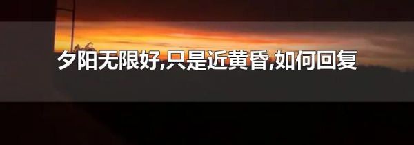 夕阳无限好,只是近黄昏,如何回复