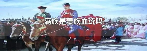 满族是贵族血统吗