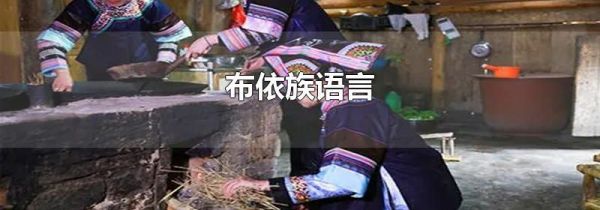 布依族语言