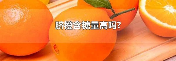 脐橙含糖量高吗?