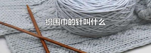 织围巾的针叫什么