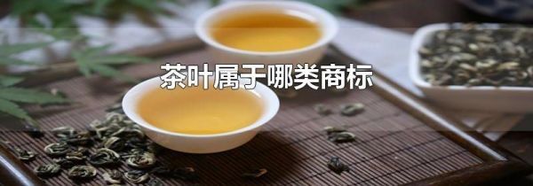 茶叶属于哪类商标